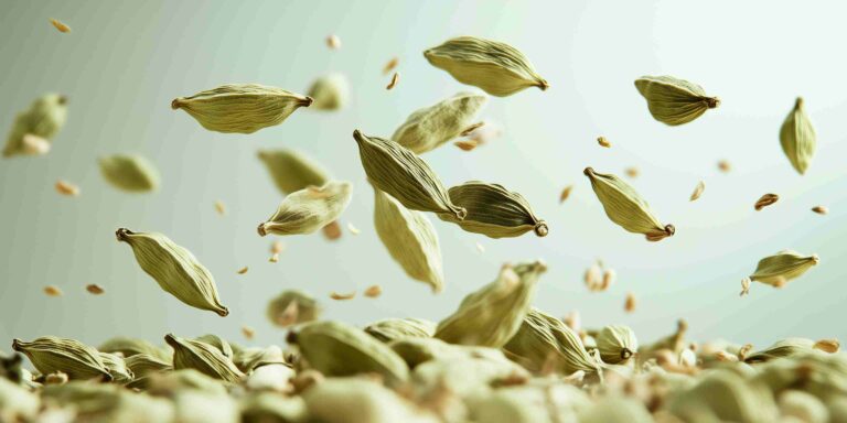 La cardamome : guide complet d'utilisation et bienfaits 6 Cardamome
